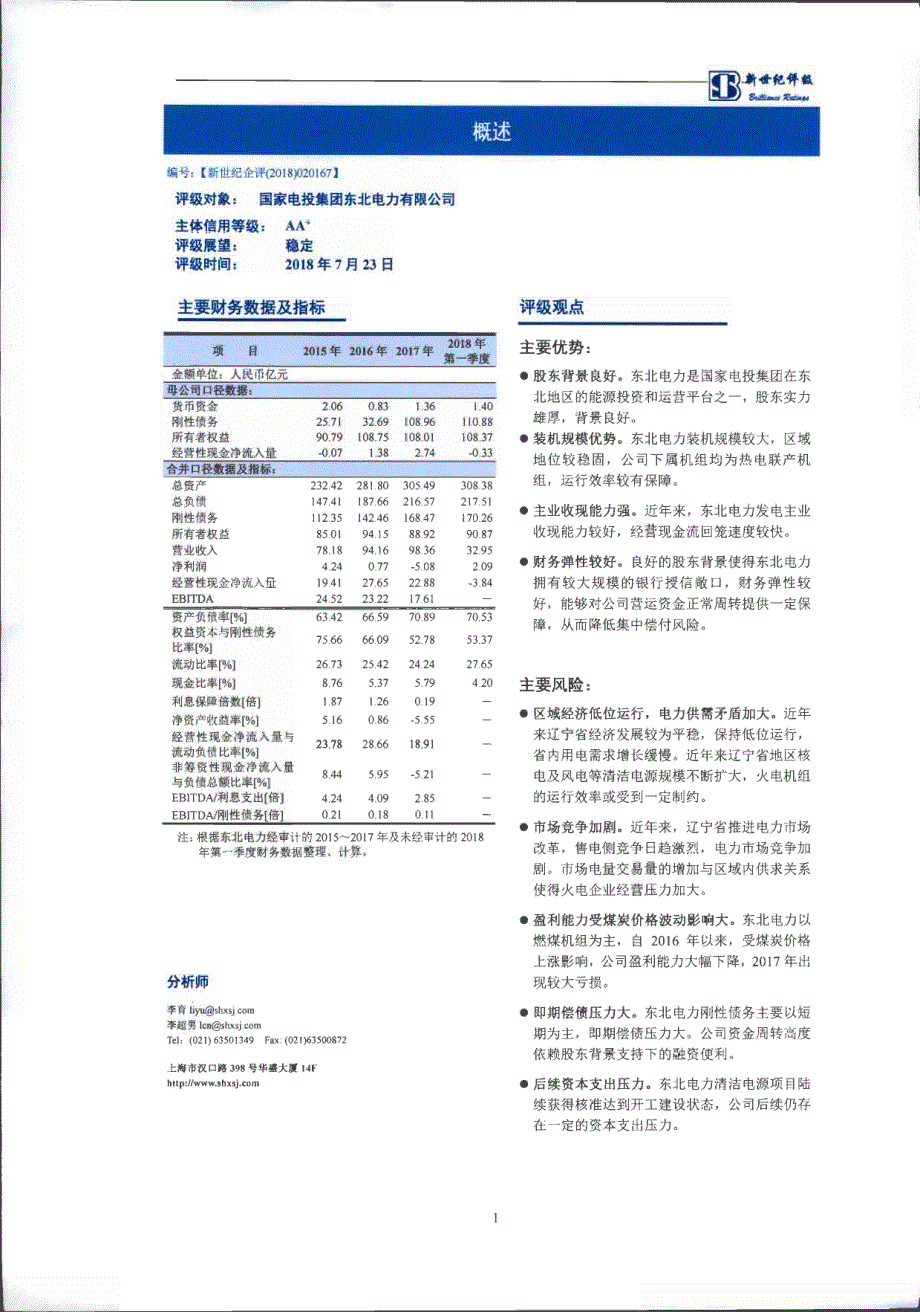 国家电投集团东北电力有限公司主体评级报告及跟踪评级安排_第2页