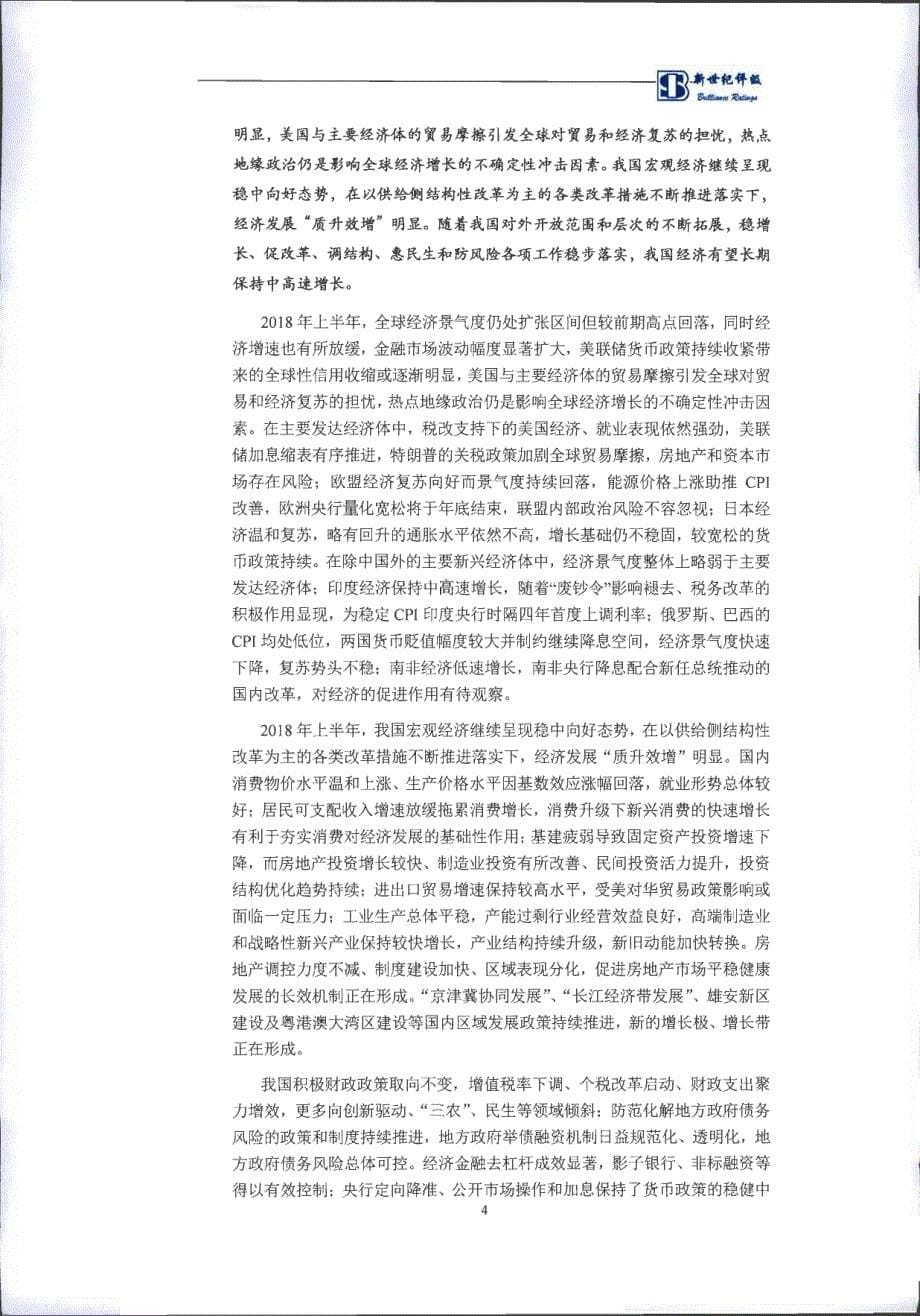 国家电投集团东北电力有限公司主体评级报告及跟踪评级安排_第5页