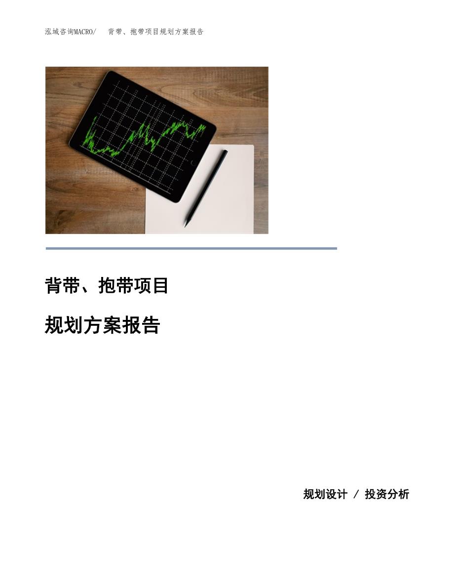 背带、抱带项目规划方案报告(总投资20000万元)_第1页