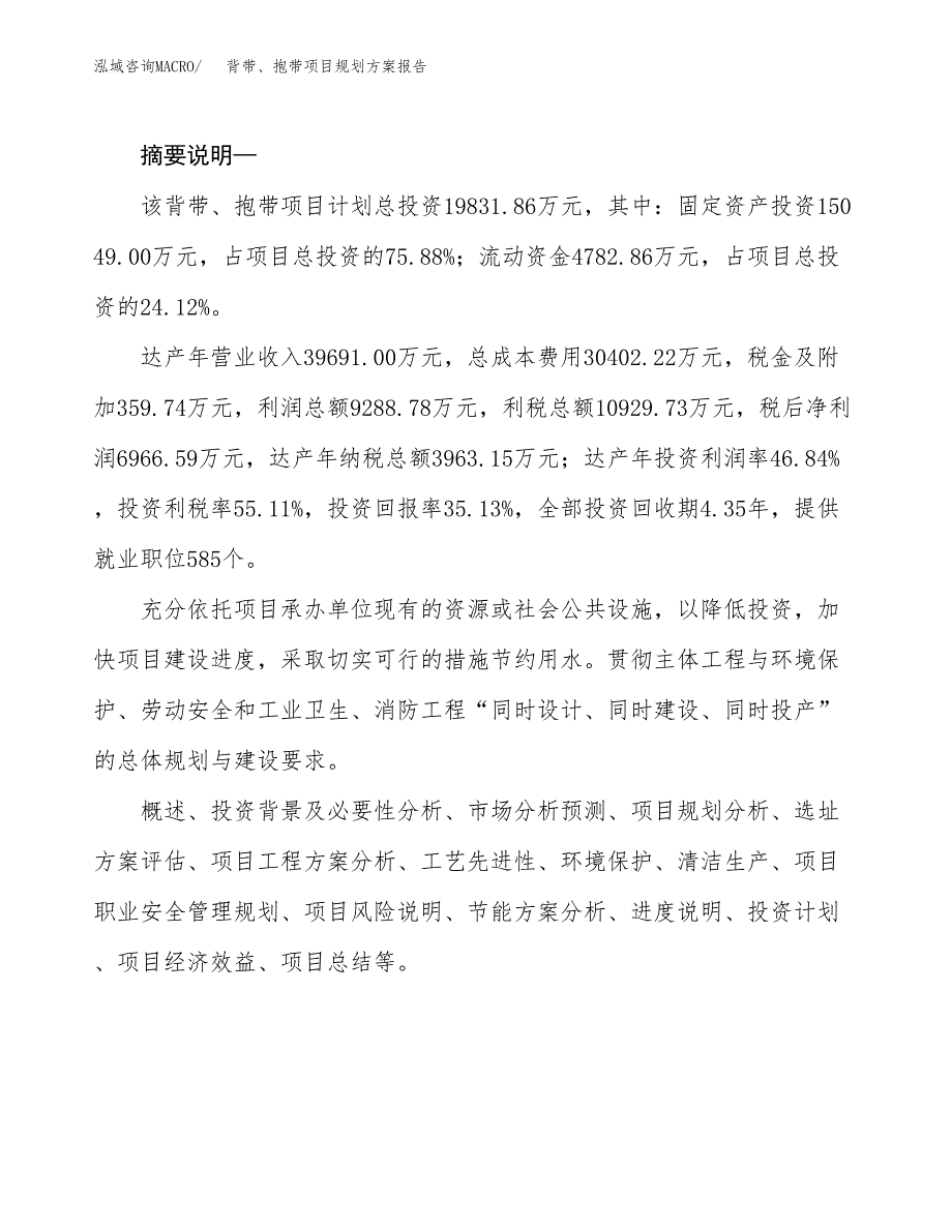 背带、抱带项目规划方案报告(总投资20000万元)_第2页