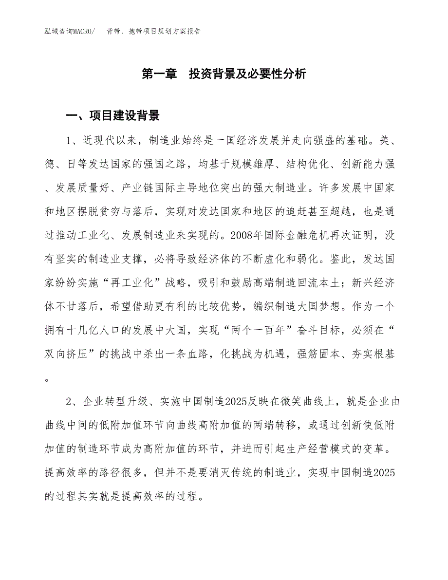 背带、抱带项目规划方案报告(总投资20000万元)_第3页