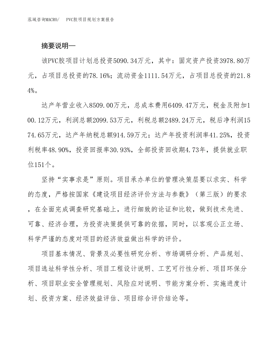 PVC胶项目规划方案报告(总投资5000万元)_第2页