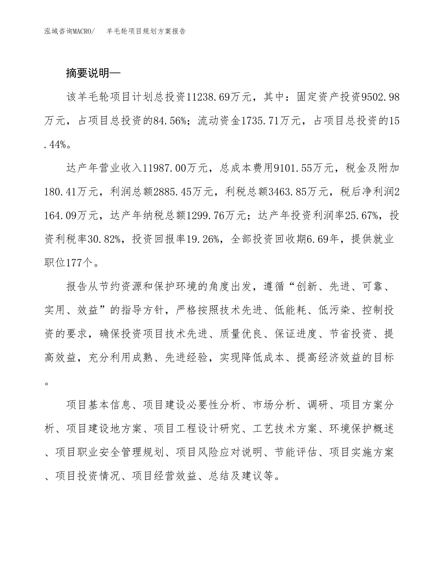 羊毛轮项目规划方案报告(总投资11000万元)_第2页