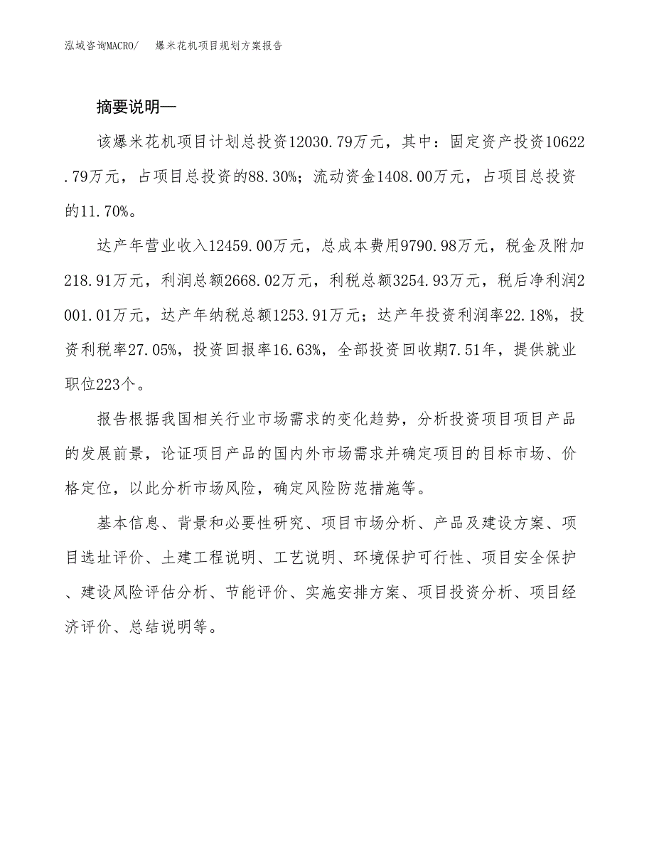 爆米花机项目规划方案报告(总投资12000万元)_第2页