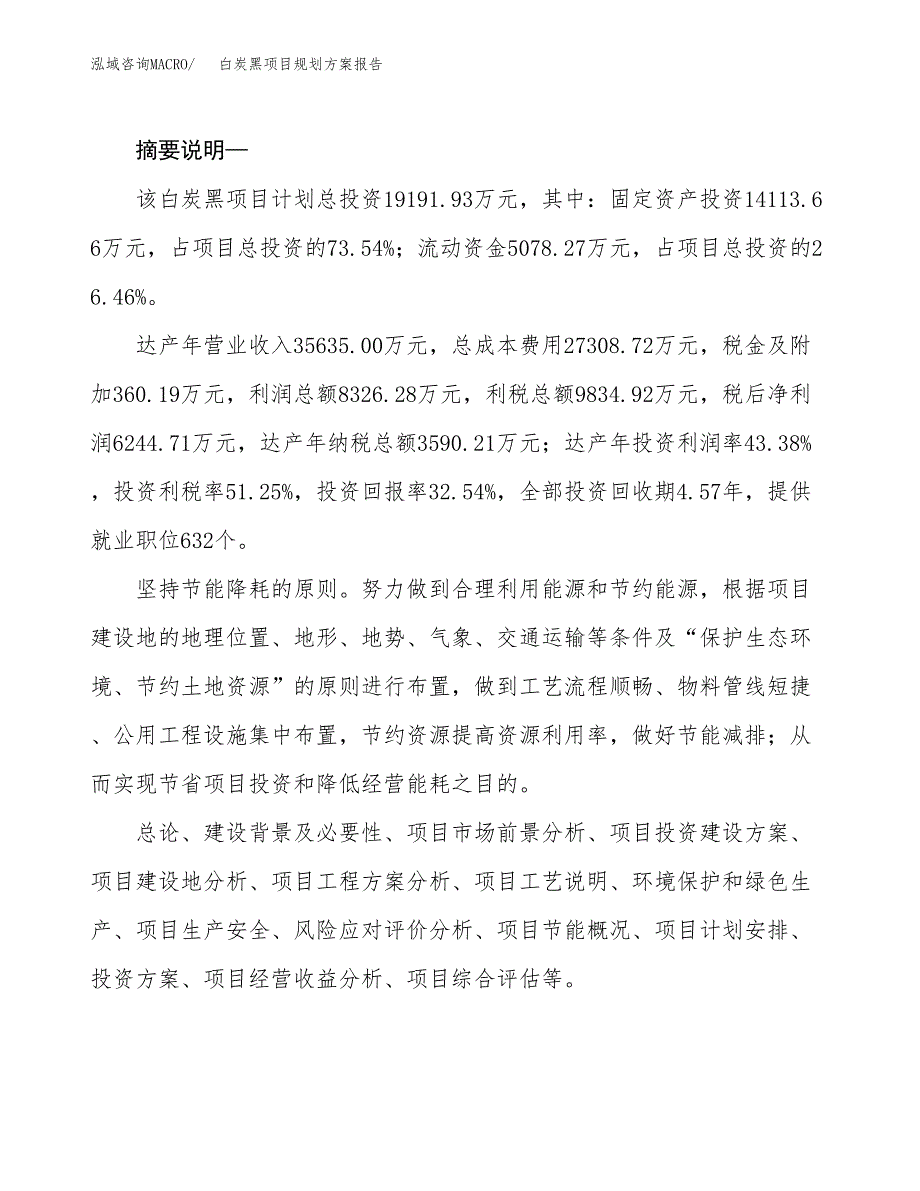 白炭黑项目规划方案报告(总投资19000万元)_第2页