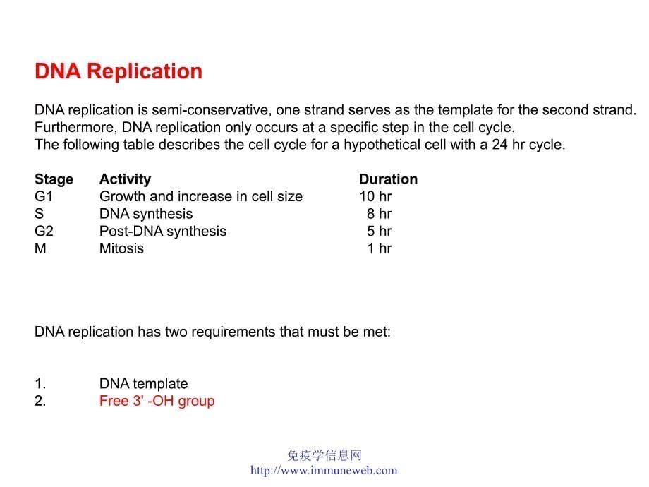 DNA复制第一讲_第5页