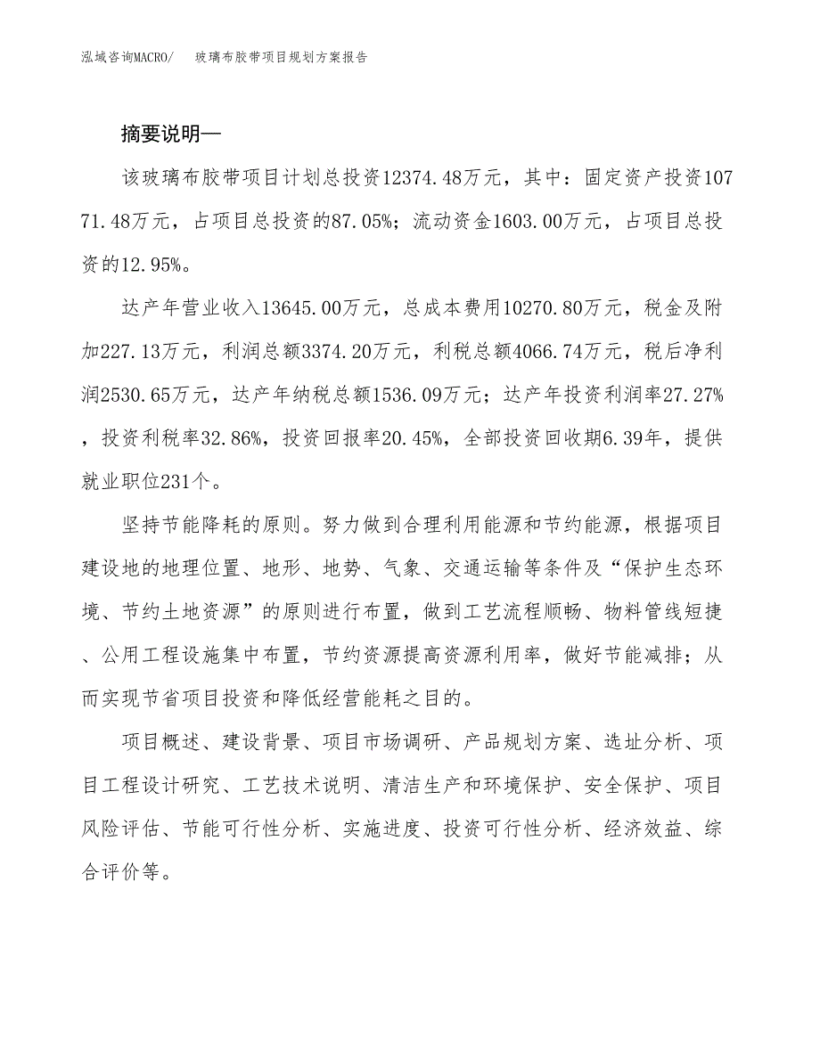 玻璃布胶带项目规划方案报告(总投资12000万元)_第2页