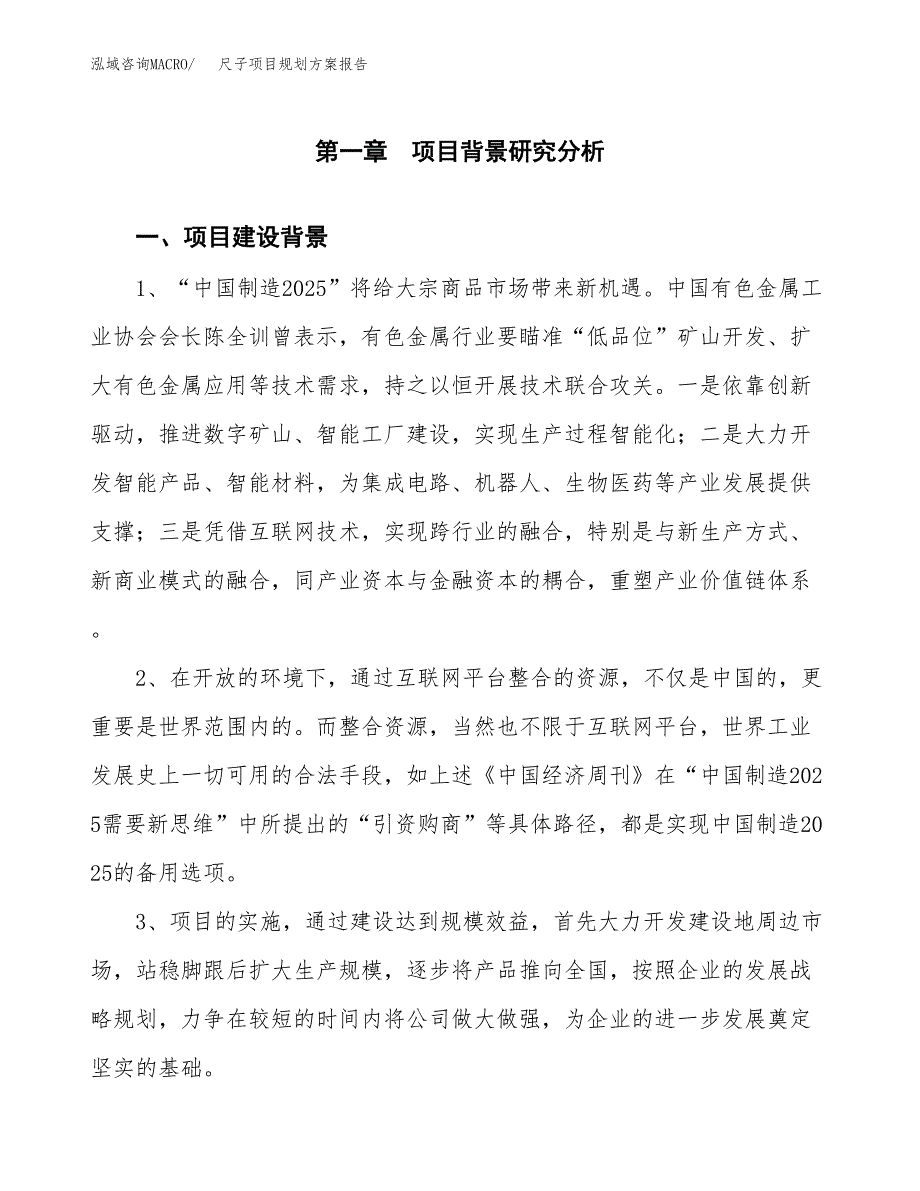 尺子项目规划方案报告(总投资4000万元)_第3页