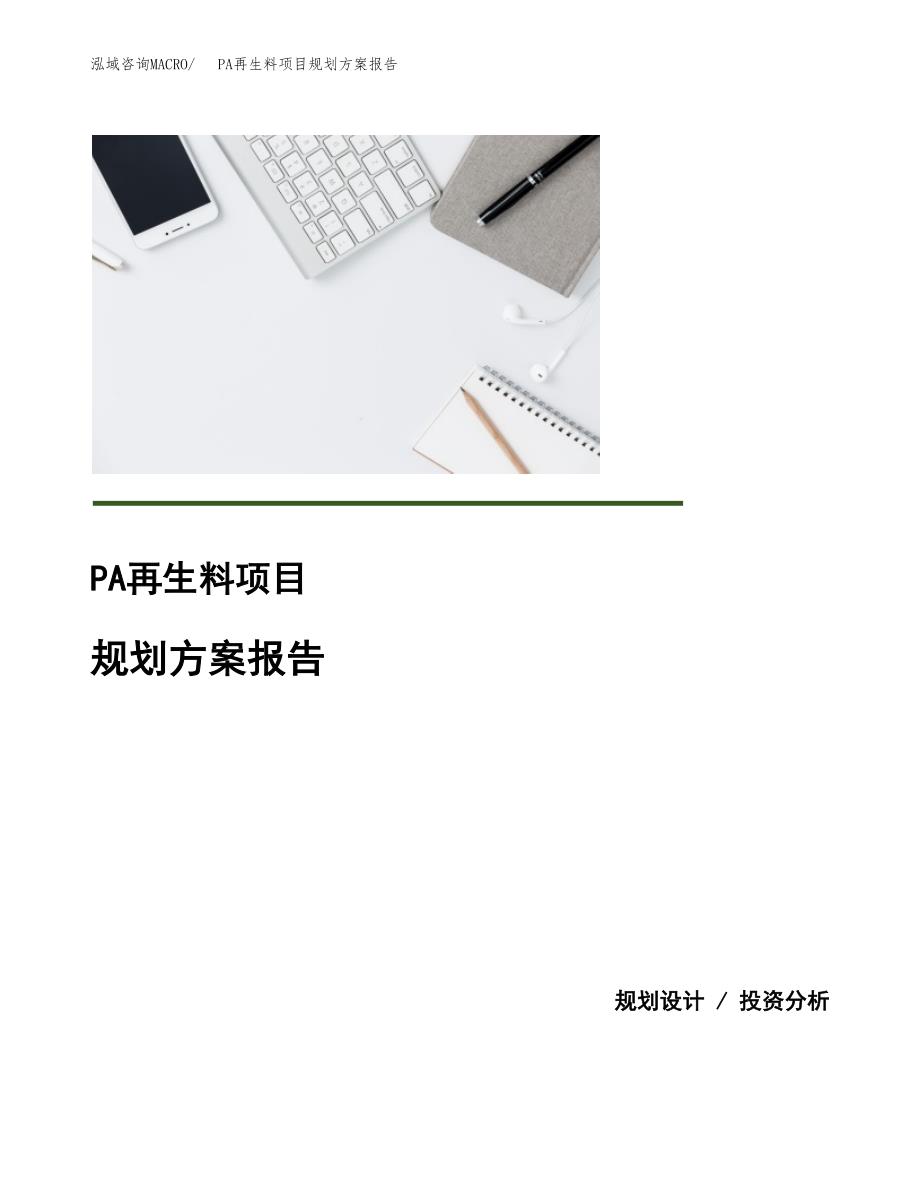 PA再生料项目规划方案报告(总投资14000万元)_第1页