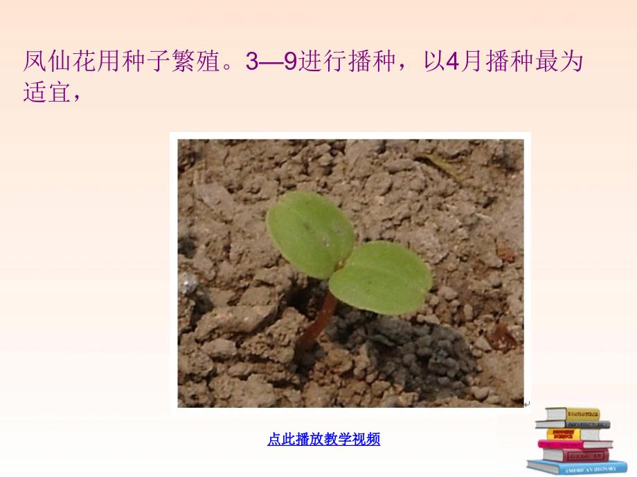 三年级科学下册种植我们的植物1课件教科版_第3页