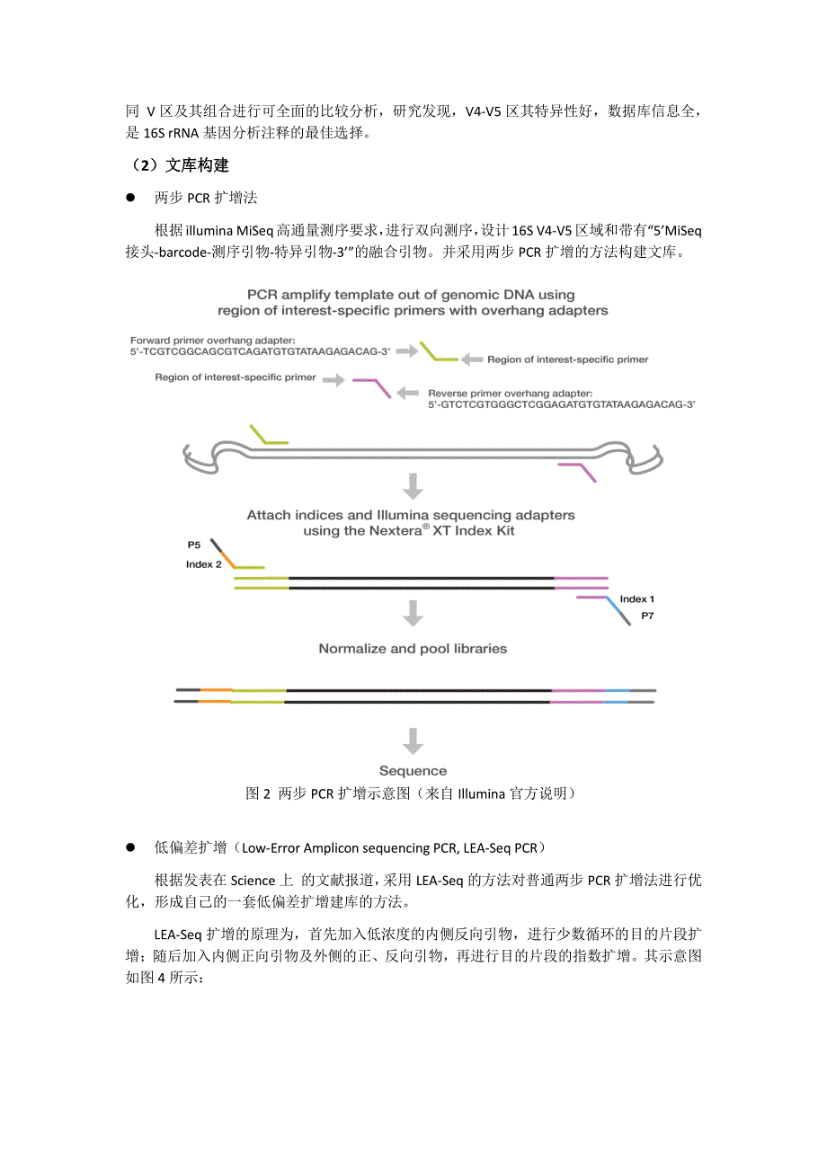 细菌或原核生物 16s rrna_微基生物_第2页