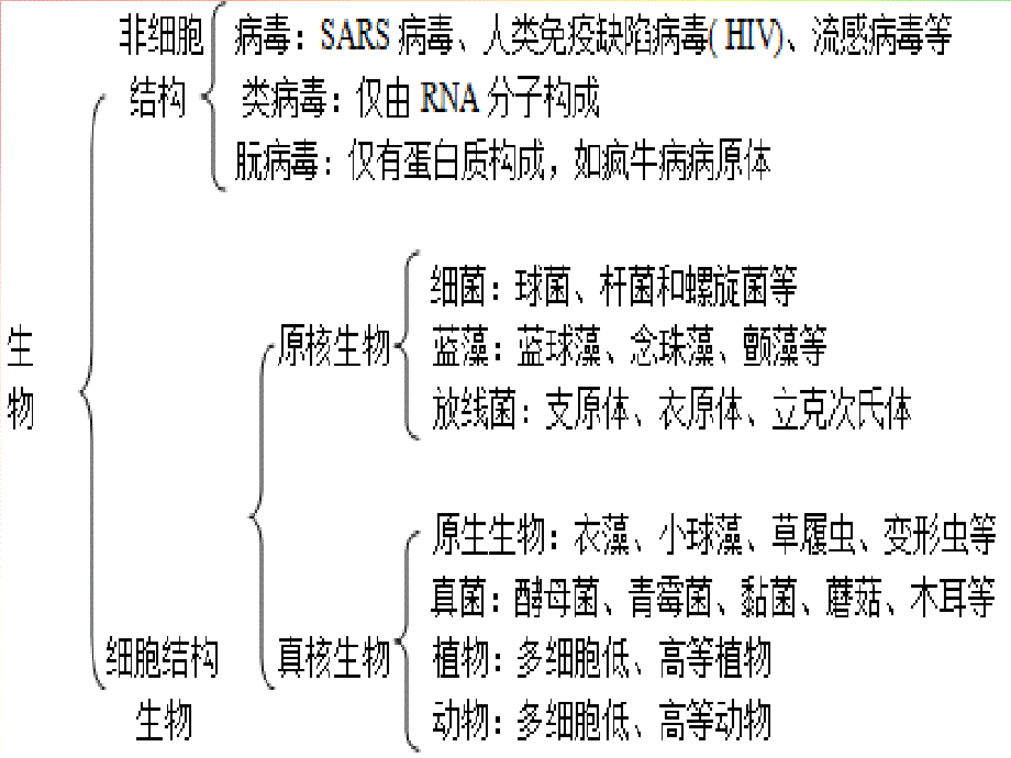 必修一：走近细胞_第3页