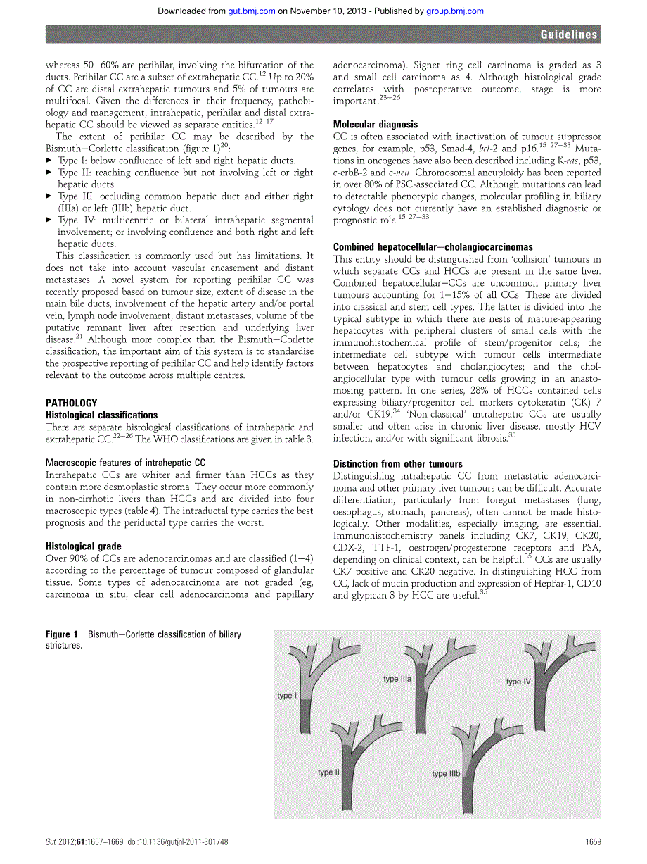 胆管细胞癌的诊断及治疗指南_第3页