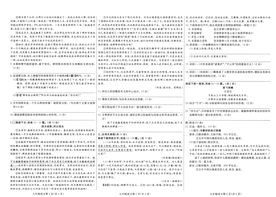 河南省师范大学附属中学2018普通高中招生考试第三次模拟语文试题（pdf版）_第2页