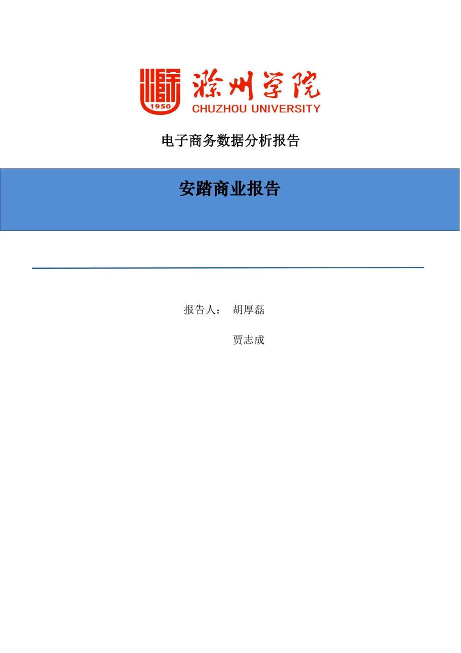 电子商务报告——安踏商业报告_第1页