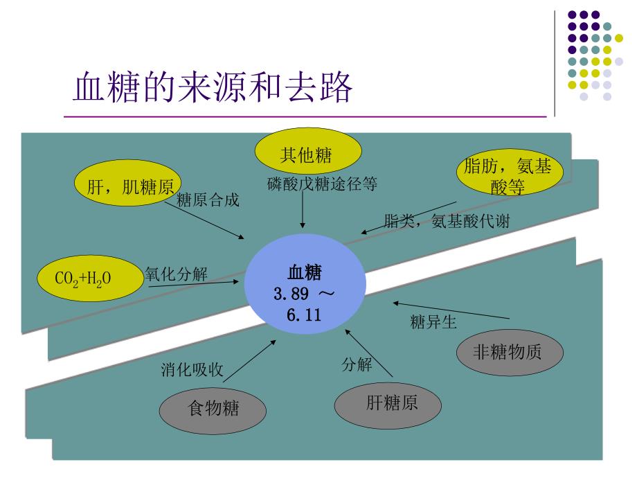 患者血糖监测与处理.ppt_第3页