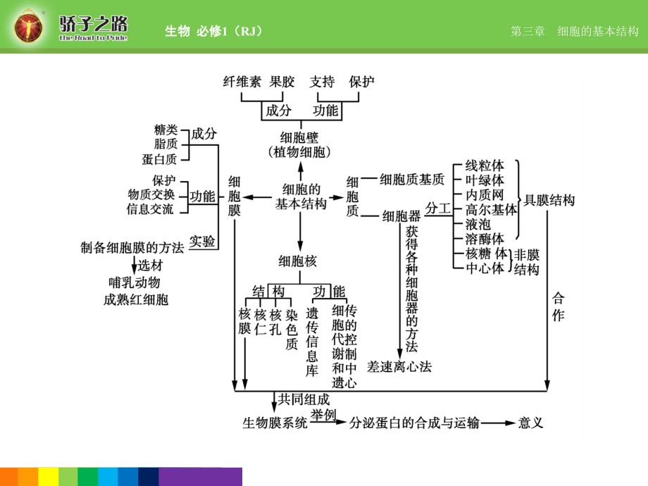 人教生物必修1课件3章末知识盘点_第2页