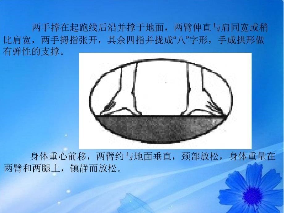 蹲踞式起跑 ppt_第5页