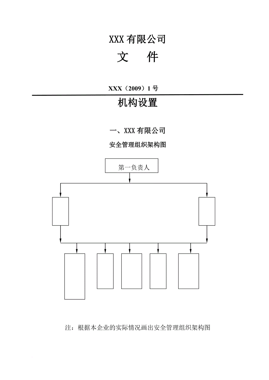 安全生产_某公司安全生产管理资料说明_第2页