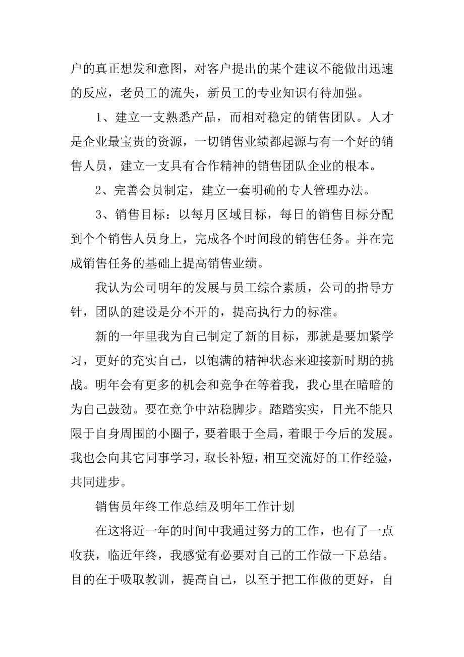 销售员年终工作总结及明年工作计划.doc_第3页