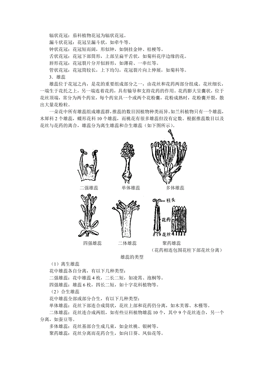 花的结构和解剖_第2页