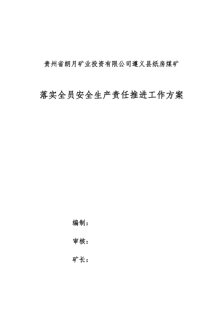 安全生产_某煤矿落实全员安全生产责任推进工作方案_第1页