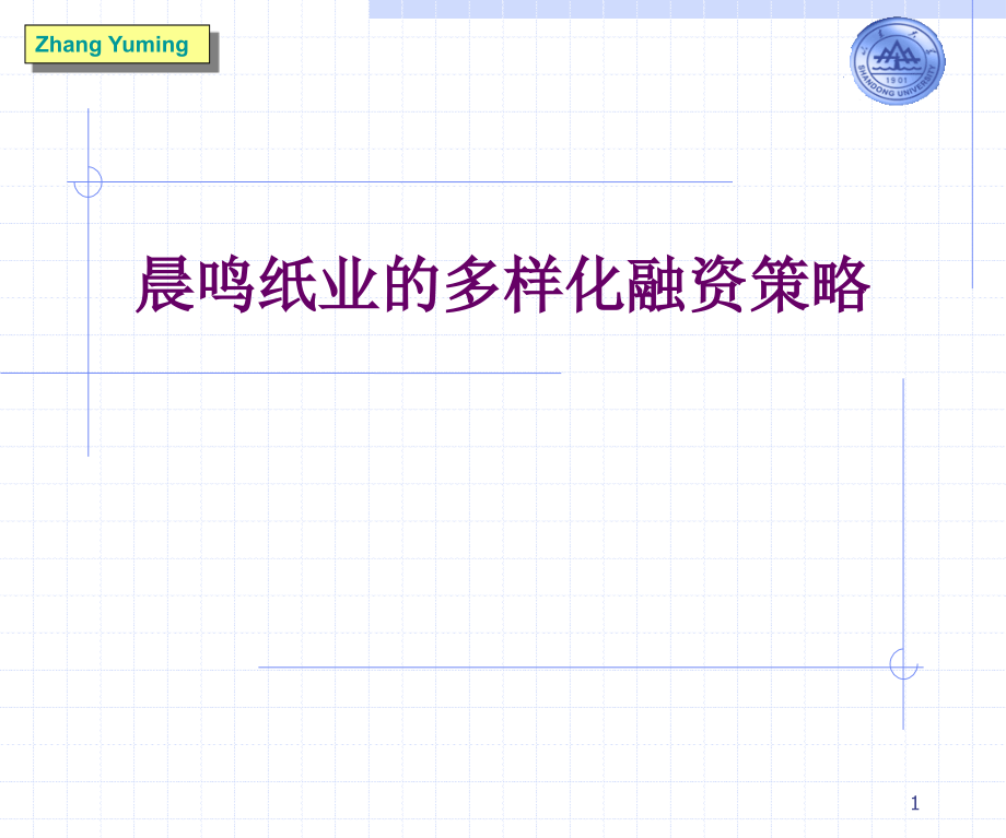 纸业的多样化融资策略_第1页