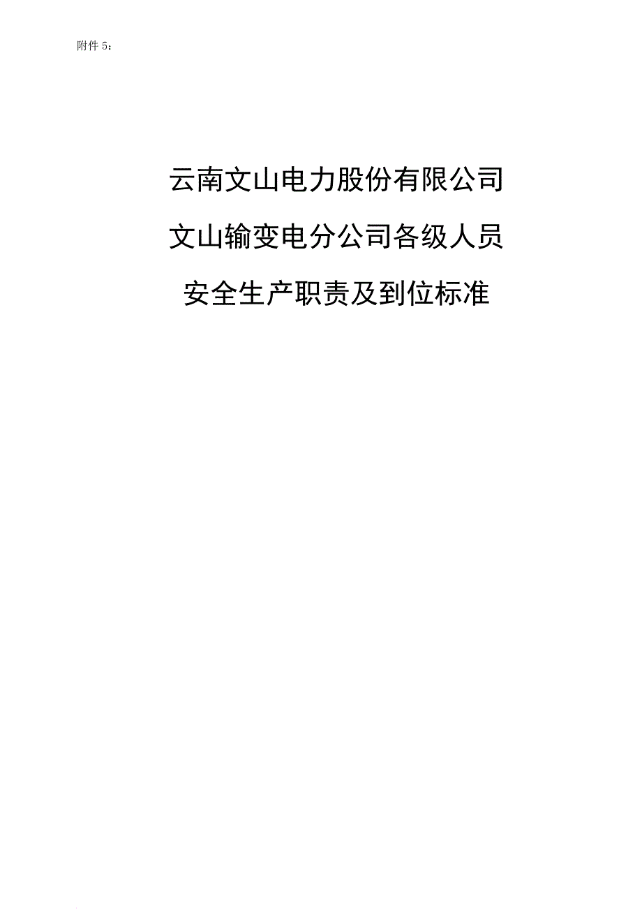 安全生产_某电力公司安全生产职责及到位标准_第1页