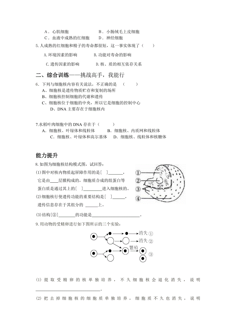 《§3.3  细胞核—系统的控制中心 》导学案_第4页