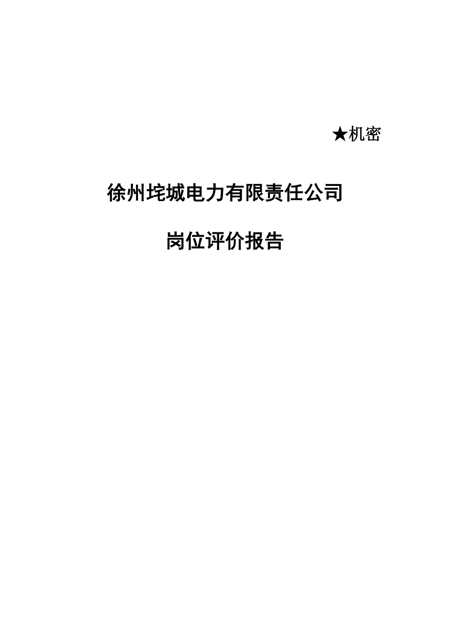 岗位职责_某电力有限责任公司岗位评价报告_第1页