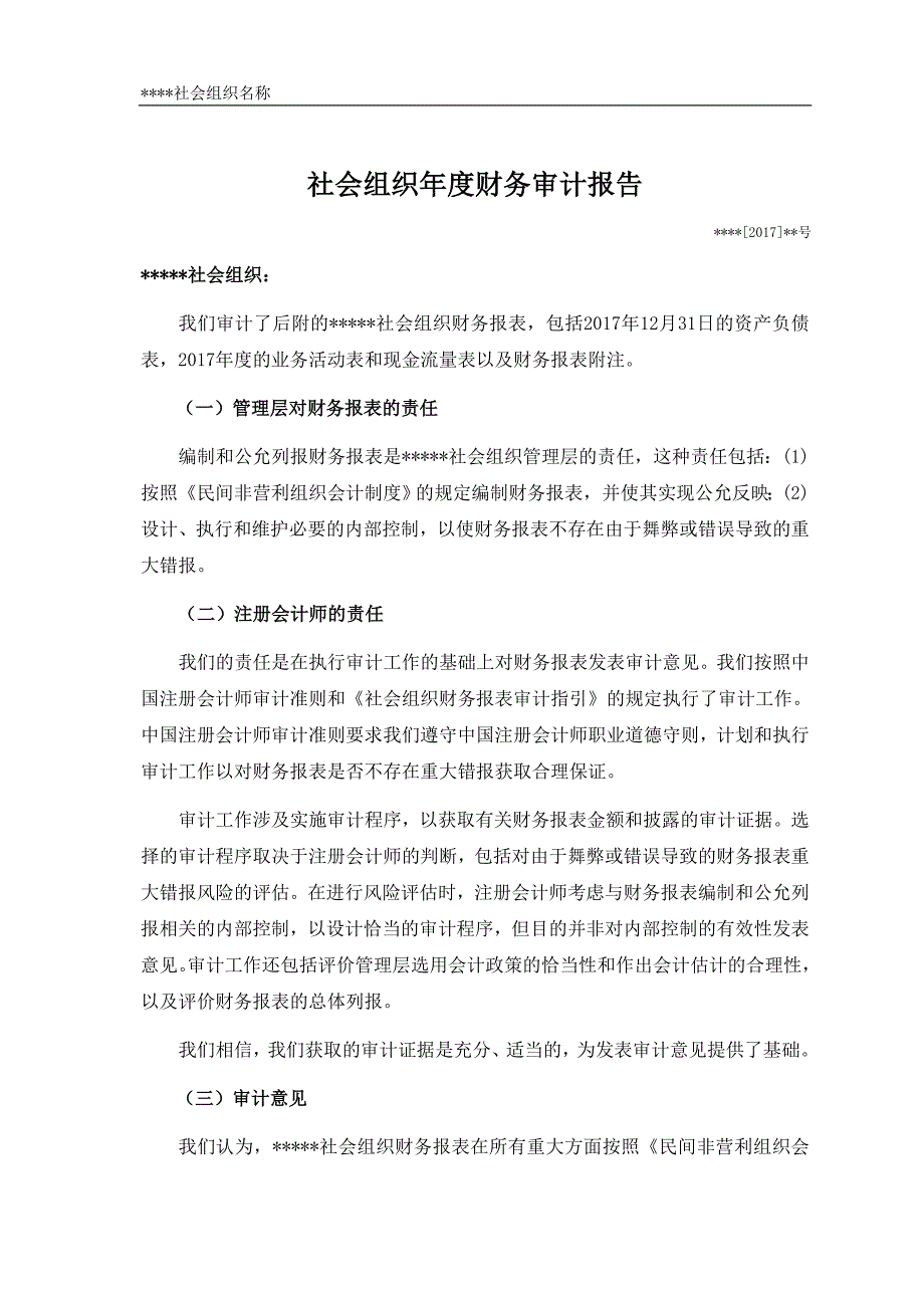 社会组织财务审计报告1_第1页