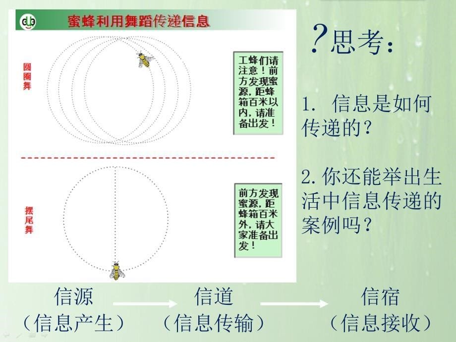 高中生物必修三《生态系统的信息传递》_第5页