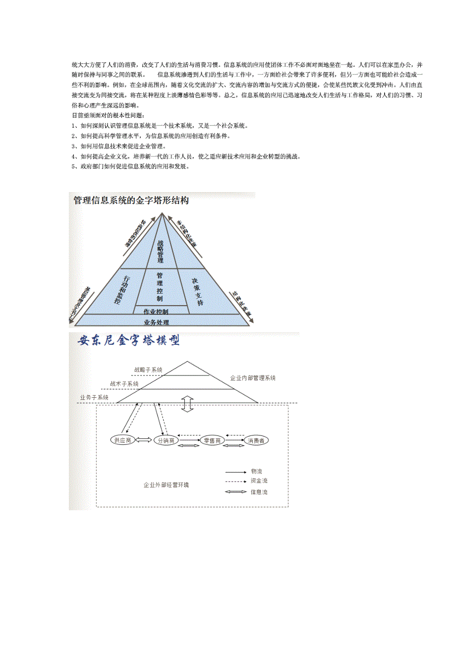 管理信息系统整理模板_第4页