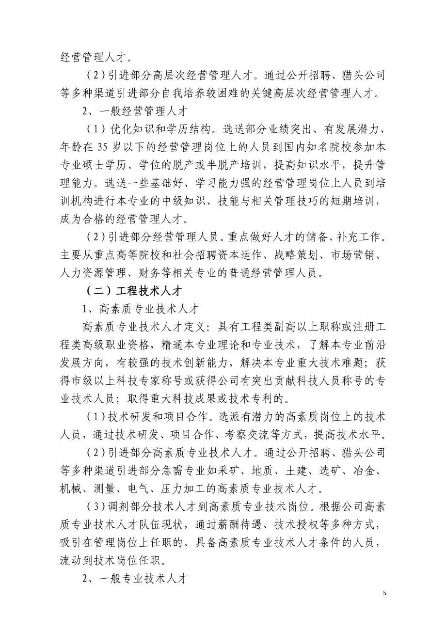 某公司中长期人才发展规划_第5页