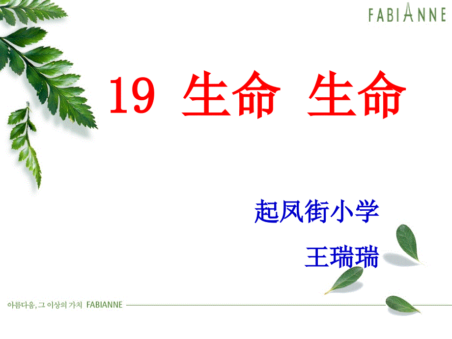 四年级课件生命生命4章节_第1页