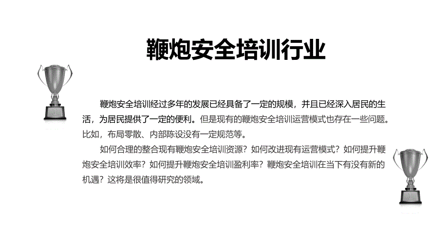 2019鞭炮安全培训行业市场现状和投资分析调研_第4页