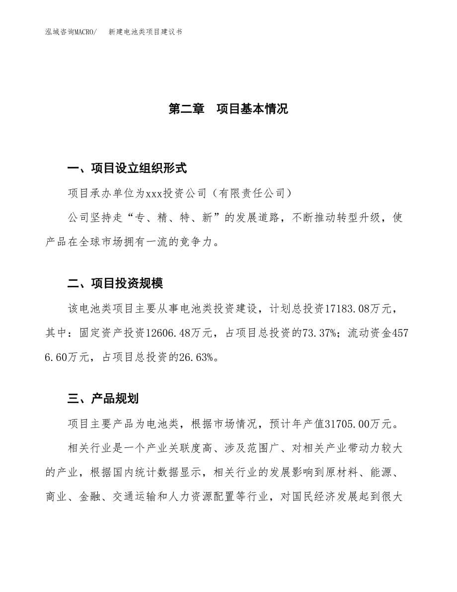 新建电池类项目建议书（总投资17000万元）_第5页