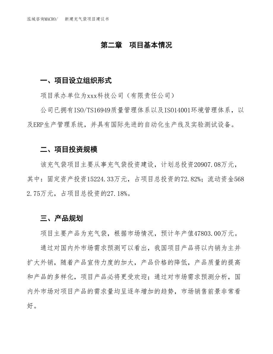 新建大班椅项目建议书（总投资10000万元）_第5页