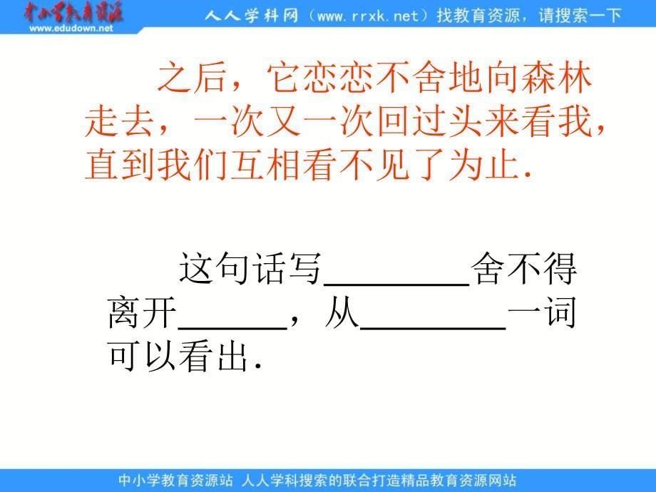 四年级语文S版四下小狮子爱尔莎课件2章节_第5页