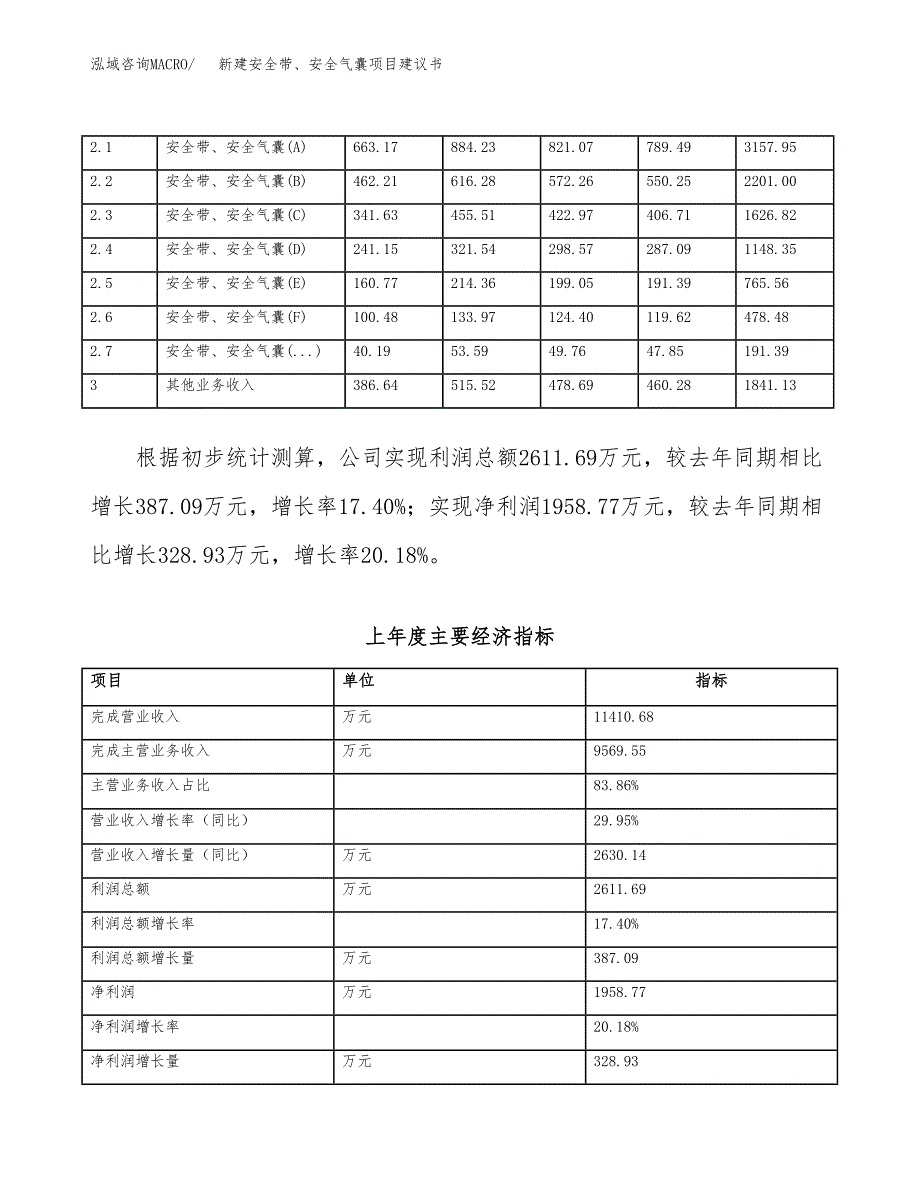 新建安全带、安全气囊项目建议书（总投资7000万元）_第2页