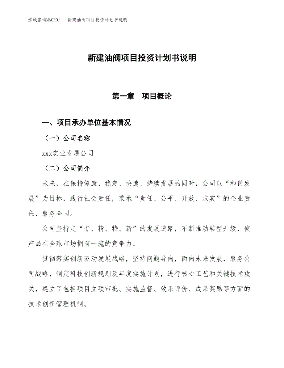 新建油阀项目投资计划书说明-参考_第1页