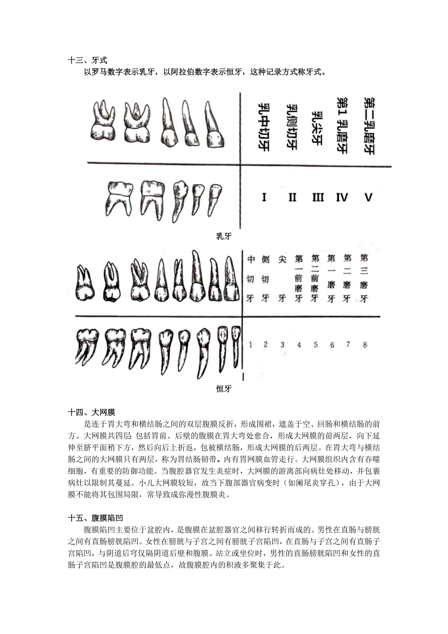 正常人体解剖学笔记_第4页