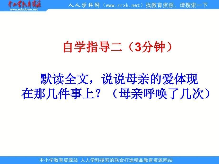 四年级语文S版四下母亲的呼唤课件3章节_第5页