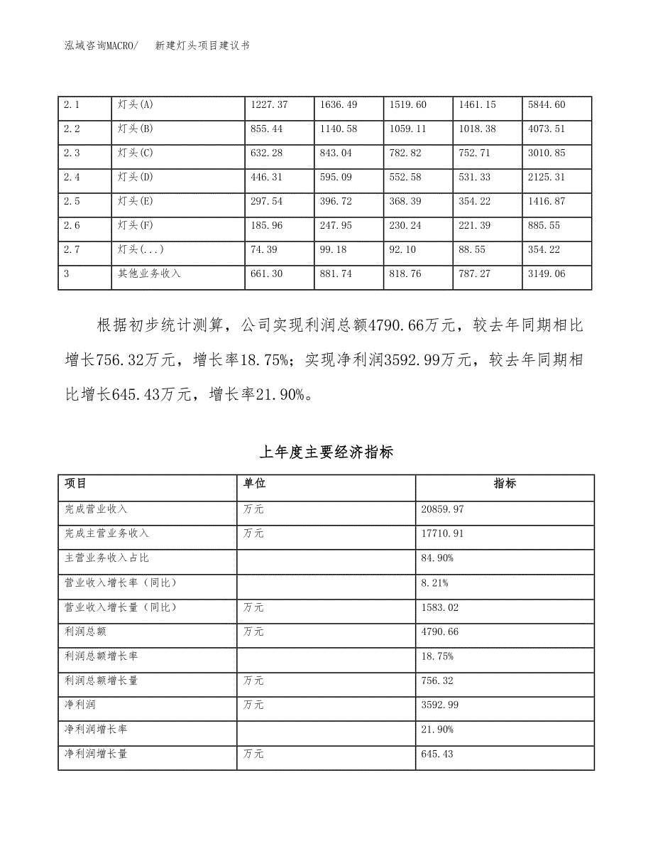 新建灯头项目建议书（总投资12000万元）_第2页