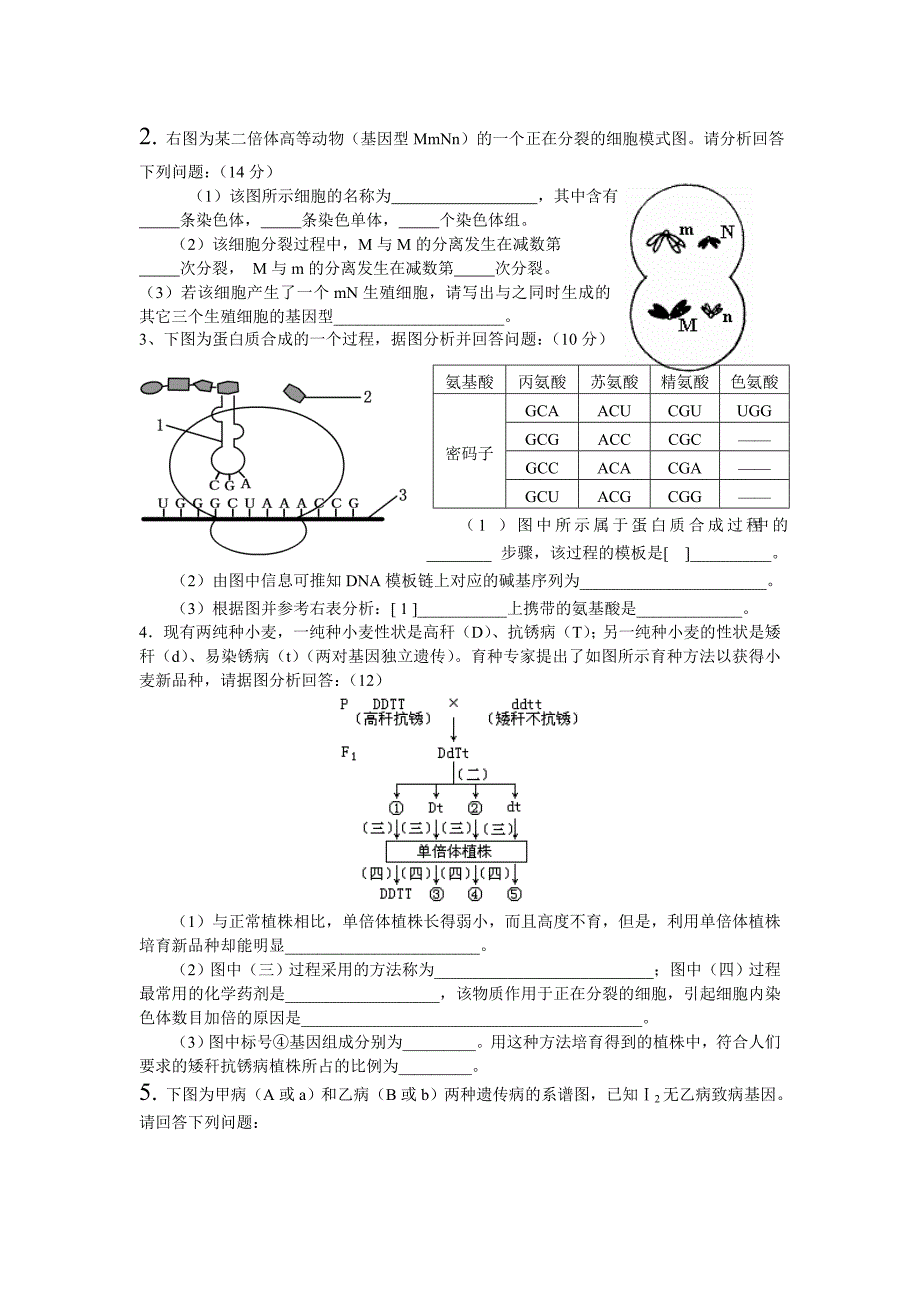 生物必修二期末考试大题复习点_第2页