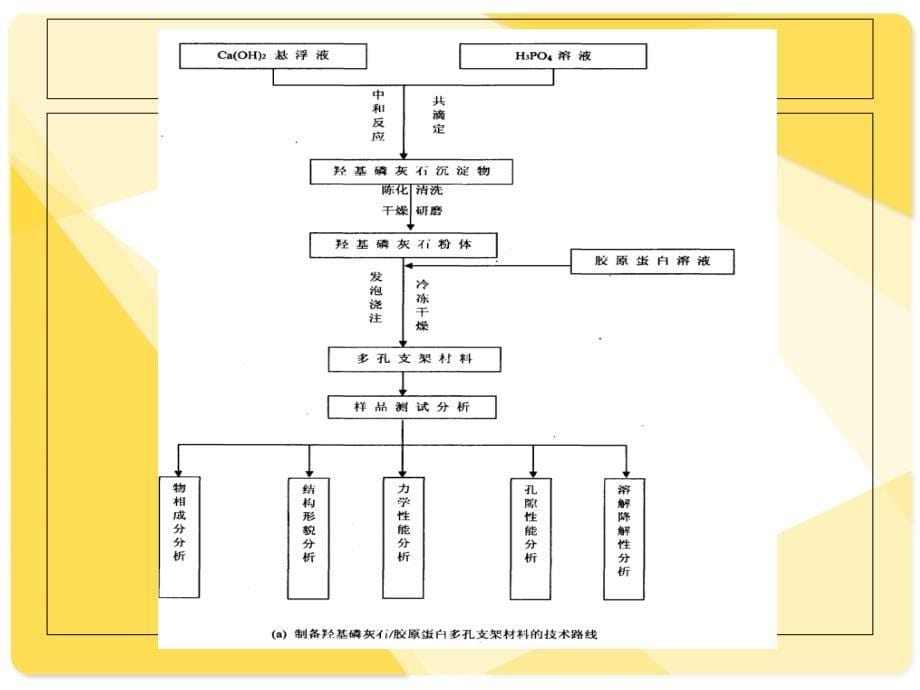 羟基磷灰石_第5页