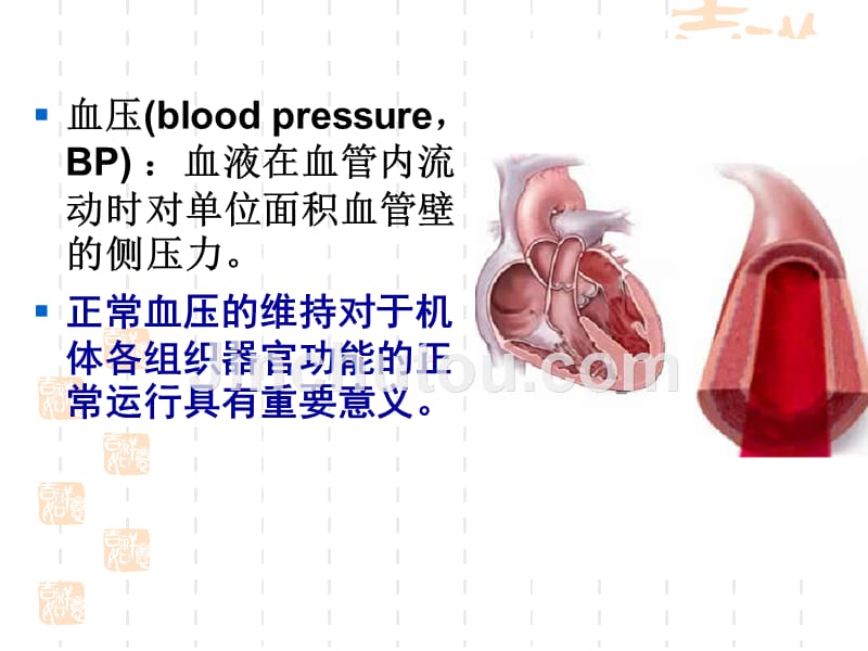 第22章抗高血压药第22章抗高血压药_第2页