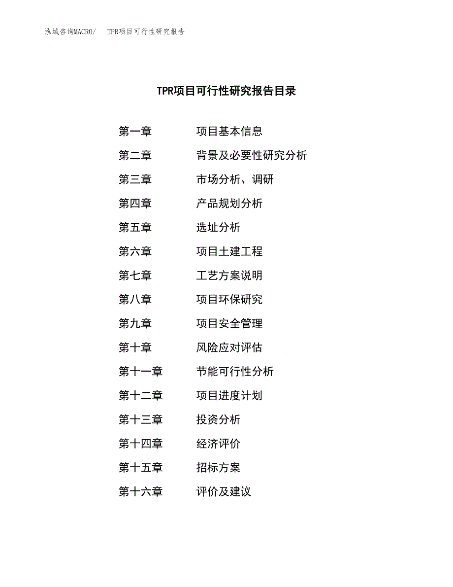 TPR项目可行性研究报告（总投资13000万元）_第2页