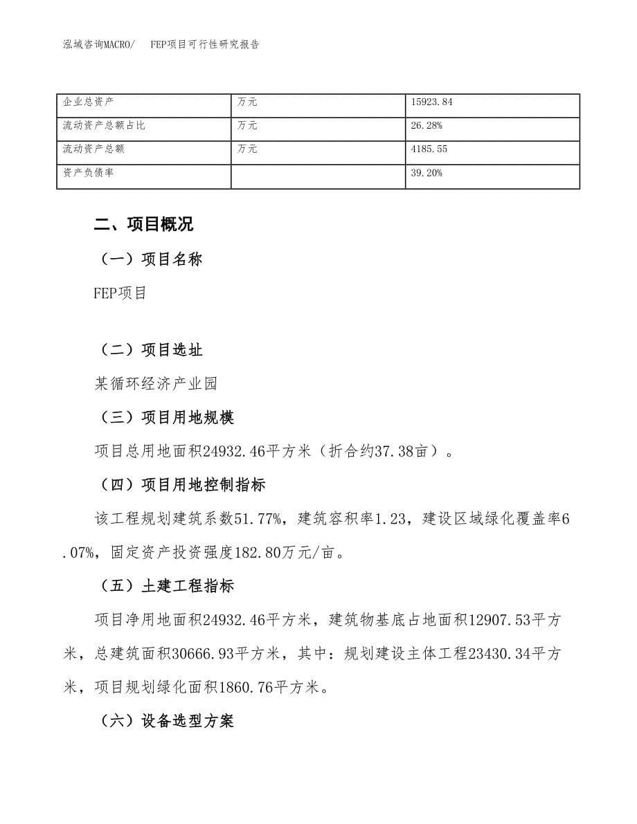 FEP项目可行性研究报告（总投资9000万元）_第5页