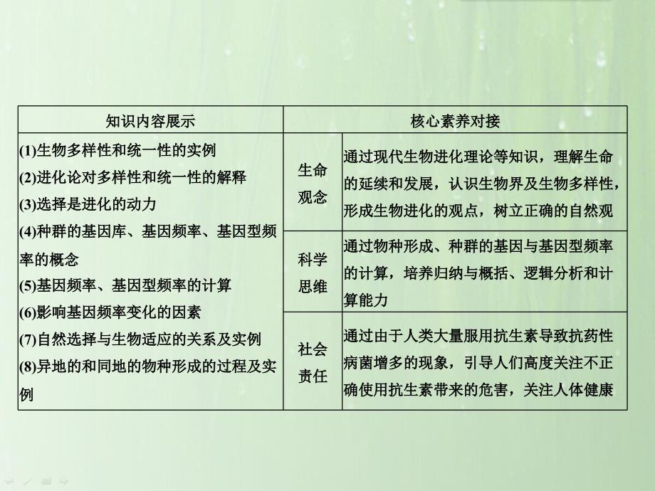 高考生物一轮基础总复习《第19讲 生物的进化》_第2页